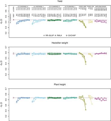 Genomic prediction with haplotype blocks in wheat